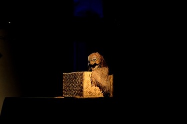 HORACIO PERALTA fotografie di Giulio Azzarello ©2020.