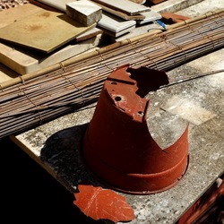 GIARDINO SICILIANO. Fotografie di Giulio Azzarello ©2022. GIARDINO SICILIANO. Fotografie di Giulio Azzarello ©2022.