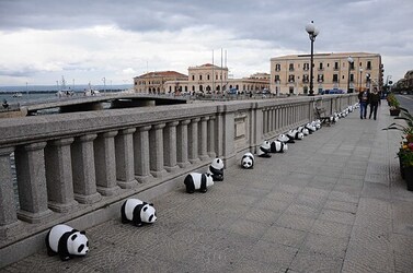 SIRACUSA arte a Ortiggia. Fotografie di Giulio Azzarello &copy;2014.