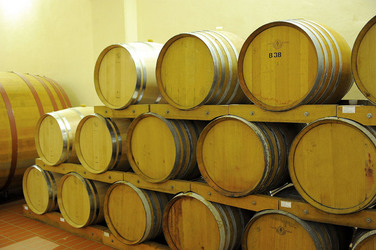 BOTTI per il vino. Fotografie di Giulio Azzarello ©2016. BOTTI per il vino. Fotografie di Giulio Azzarello ©2016.