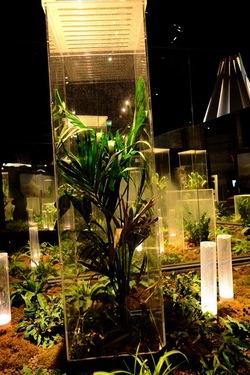 VENEZIA PADIGLIONE ITALIANO. Biennale Arch. Cont. Arsenale. Fotografie di Giulio Azzarello &copy;2022.