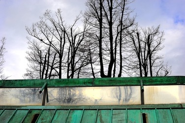 BIENNALE di VENEZIA 2017 i giardini. Fotografie di Giulio Azzarello ©2018. BIENNALE di VENEZIA 2017 i giardini. Fotografie di Giulio Azzarello ©2018.