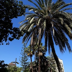 GIARDINO. Fotografie di Giulio Azzarello ©2022.