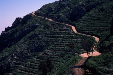 DIGITALIZZAZIONI fotografie di Giulio Azzarello &copy;2020.