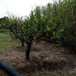 CAMMINANDO. Fotografie di Giulio Azzarello &copy;2024.