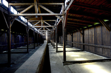 AUSCHWITZ BIRKENAU il percorso della memoria e i documenti. Fotografie di Giulio Azzarello &copy;2016.