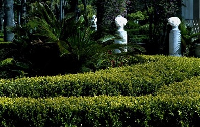 VILLA GIULIA Palermo. Fotografie di Giulio Azzarello &copy;2021.