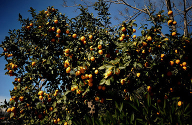 PAESAGGIO CATANESE panoramiche e particolari. Fotografie di Giulio Azzarello &copy;2014.