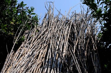 IL CANNETO del contadino siciliano. Fotografie di Giulio Azzarello &copy;2014.