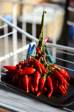 PEPERONCINO fotografie di Giulio Azzarello ©2014. PEPERONCINO fotografie di Giulio Azzarello ©2014.