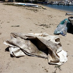 SAN VITO LO CAPO. Fotografie di Giulio Azzarello ©2023. SAN VITO LO CAPO. Fotografie di Giulio Azzarello ©2023.