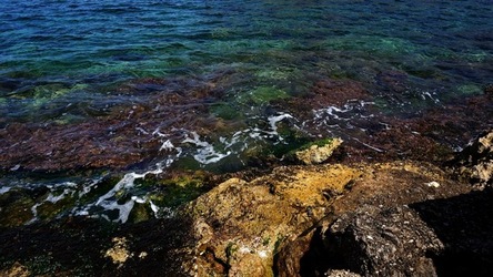 BAIA DEL CORALLO. Fotografie di Giulio Azzarello &copy;2022.