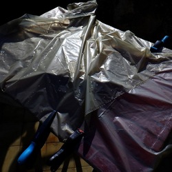 AUTUNNO fotografie di Giulio Azzarello ©2021. AUTUNNO fotografie di Giulio Azzarello ©2021.