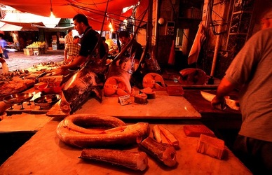 VUCCIRIA anni 90. Fotografie di Giulio Azzarello ©2022. VUCCIRIA anni 90. Fotografie di Giulio Azzarello ©2022.