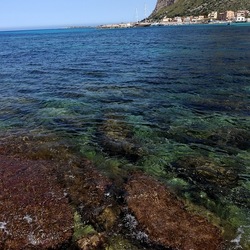 BAIA DEL CORALLO. Fotografie di Giulio Azzarello &copy;2022.