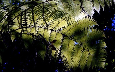 ORTO BOTANICO di Palermo. Fotografie di Giulio Azzarello ©2021.