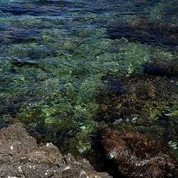 BAIA DEL CORALLO. Fotografie di Giulio Azzarello &copy;2022.