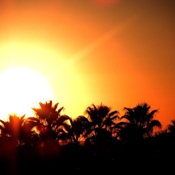 SELINUNTE. Fotografie di Giulio Azzarello ©2022. SELINUNTE. Fotografie di Giulio Azzarello ©2022.