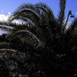 MONDELLO fotografie di Giulio Azzarello ©2021. MONDELLO fotografie di Giulio Azzarello ©2021.