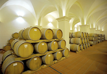 BOTTI per il vino. Fotografie di Giulio Azzarello ©2016. BOTTI per il vino. Fotografie di Giulio Azzarello ©2016.