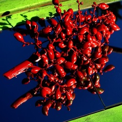 SPECCHIATI. Fotografia di Giulio Azzarello ©2023. SPECCHIATI. Fotografia di Giulio Azzarello ©2023.