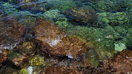 BAIA DEL CORALLO. Fotografie di Giulio Azzarello &copy;2022.
