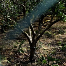 CAMMINANDO. Fotografie di Giulio Azzarello &copy;2024.