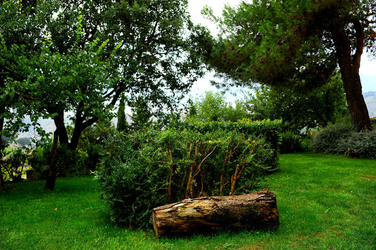 CAMPAGNA SICILIANA. Fotografie di Giulio Azzarello &copy;2016.
