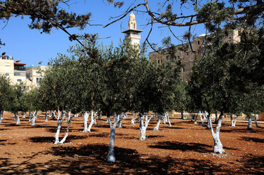 GERUSALEMME panoramiche e particolari. Fotografie di Giulio Azzarello &copy;2014.