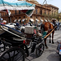 PALERMO. Fotografie di Giulio Azzarello &copy;2022.