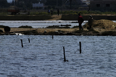 WWF Sicilia le Saline di Trapani. Fotografie di Giulio Azzarello &copy;2014.