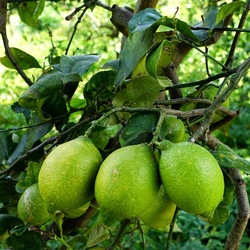 OSSERVAZIONI. Fotografie di Giulio Azzarello ©2022. OSSERVAZIONI. Fotografie di Giulio Azzarello ©2022.