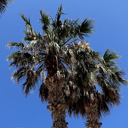 SAN VITO LO CAPO. Fotografie di Giulio Azzarello &copy;2023.