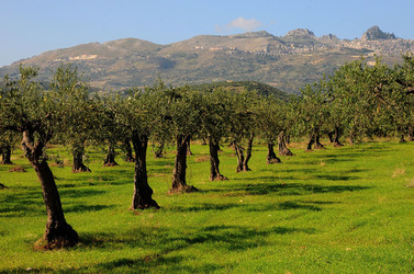 CALTABELLOTTA in Sicilia. Fotografie di Giulio Azzarello ©2014.