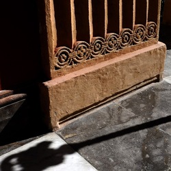 ORTO BOTANICO di PALERMO. Fotografie di Giulio Azzarello ©2019.