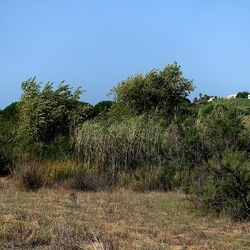 SELINUNTE. Fotografie di Giulio Azzarello ©2022. SELINUNTE. Fotografie di Giulio Azzarello ©2022.