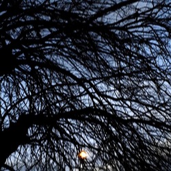 INVERNO. Fotografie di Giulio Azzarello &copy;2023.