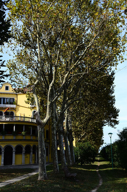 GIARDINI della BIENNALE a Venezia. Foto di Giulio Azzarello &copy;2015 2016.