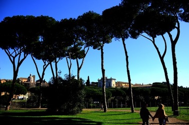 PARCO ARCHEOLOGICO DEL PALATINO Roma. Fotografie di Giulio Azzarello ©2020.