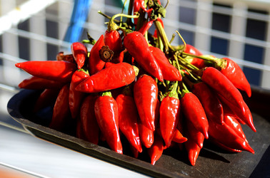 PEPERONCINO fotografie di Giulio Azzarello ©2014. PEPERONCINO fotografie di Giulio Azzarello ©2014.