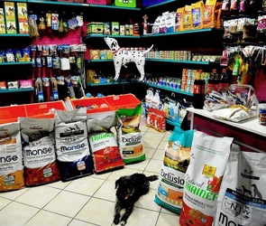 NEGOZIO di ANIMALI. Fotografie di Giulio Azzarello ©2018. NEGOZIO di ANIMALI. Fotografie di Giulio Azzarello ©2018.