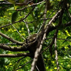 PIANTE. Fotografie di Giulio Azzarello &copy;2022.