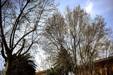 VILLA BONANNO a Palermo. Fotografie di Giulio Azzarello &copy;2016.