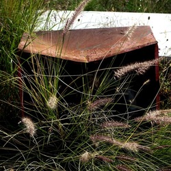 ZISA. Fotografie di Giulio Azzarello &copy;2023.