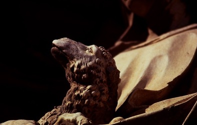 KALSA fotografie di Giulio Azzarello &copy;2020.