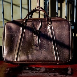 NATURE MORTE. Fotografie di Giulio Azzarello ©2024. NATURE MORTE. Fotografie di Giulio Azzarello ©2024.