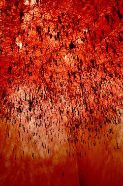 BIENNALE di VENEZIA padiglione giapponese. Foto di Giulio Azzarello &copy;2015 2016. Opera di Chiharu Shiota The KEY in the HAND .