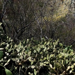 RISERVA NATURALE. Fotografie di Giulio Azzarello &copy;2022.