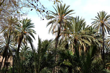 VILLA BONANNO a Palermo. Fotografie di Giulio Azzarello &copy;2016.