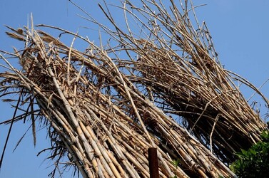 IL CANNETO del contadino siciliano. Fotografie di Giulio Azzarello &copy;2014.